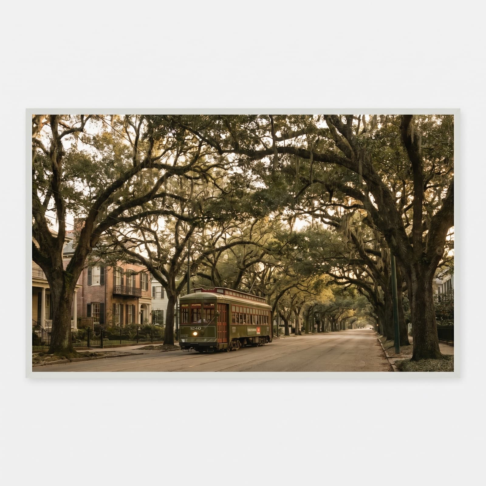 New Orleans, LA — St. Charles Avenue streetcar under live-oak canopy at golden hour