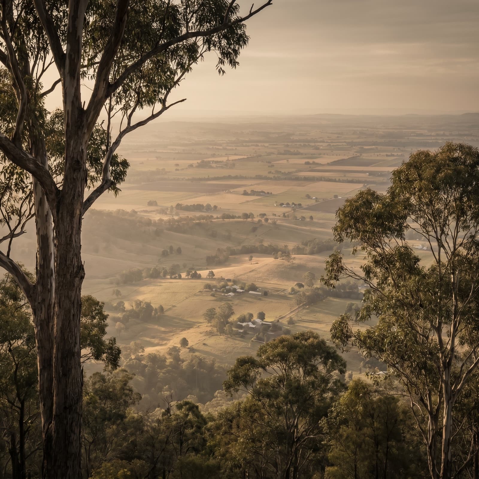 Toowoomba, QLD — Picnic Point lookout on the eastern escarpment at golden hour, the Lockyer Valley falling away below in layers of farmland and haze, mature gums framing the foreground, the patchwork of the Downs stretching to the horizon. Long lens compression, wide aspect, warm late light — no drone shot, no carnival-flowerbed cliché.